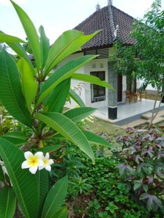 Bingin Family Bungalow Улувату Екстер'єр фото